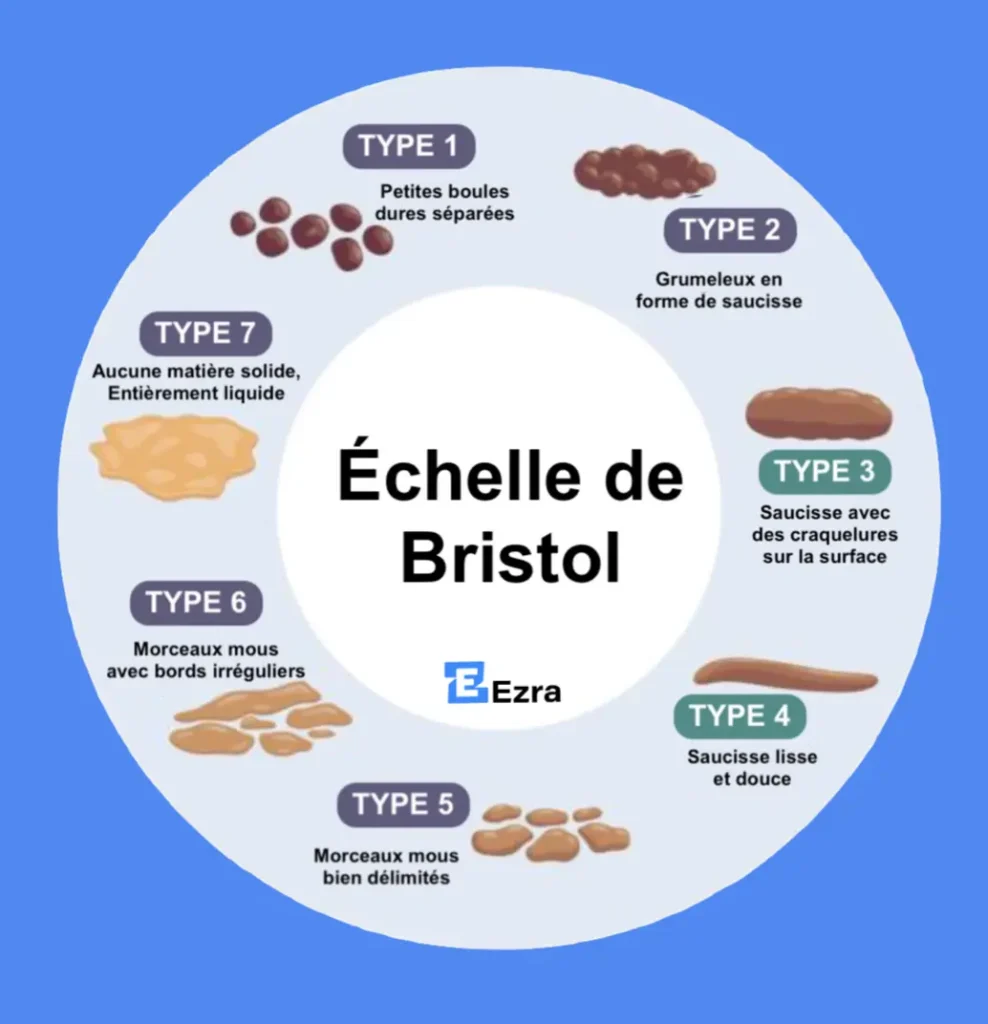 Échelle de Bristol