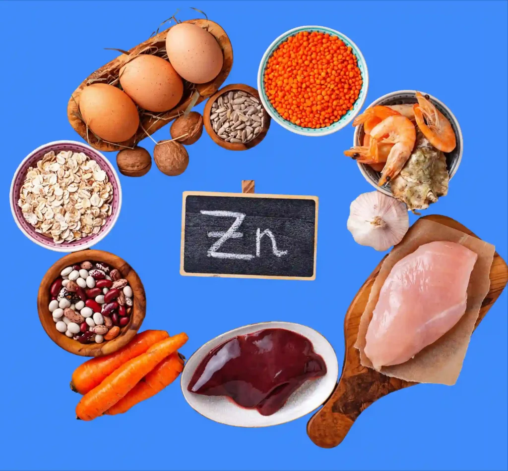 Aliments riches en zinc : liste complète, bienfaits et suppléments